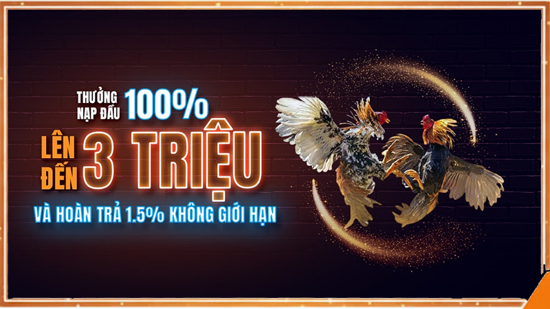 Thưởng chào mừng ALO789 100% tiền nạp đầu 3 triệu đồng